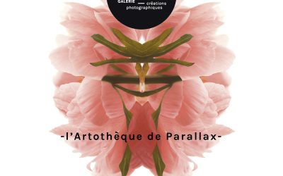 L’artothèque de Parallax