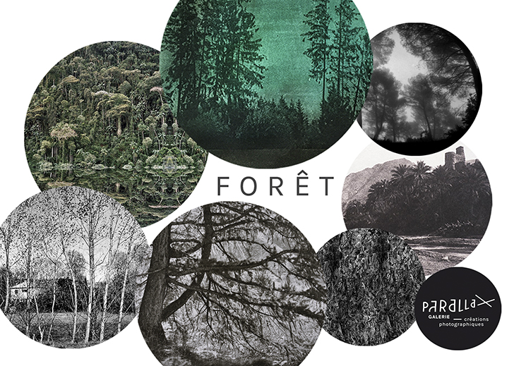 Forêt, exposition collective