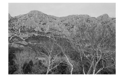 En allant au paysage