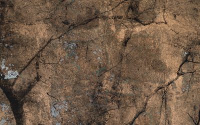 En novembre, Approche