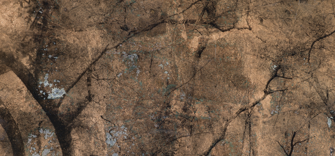 En novembre, Approche